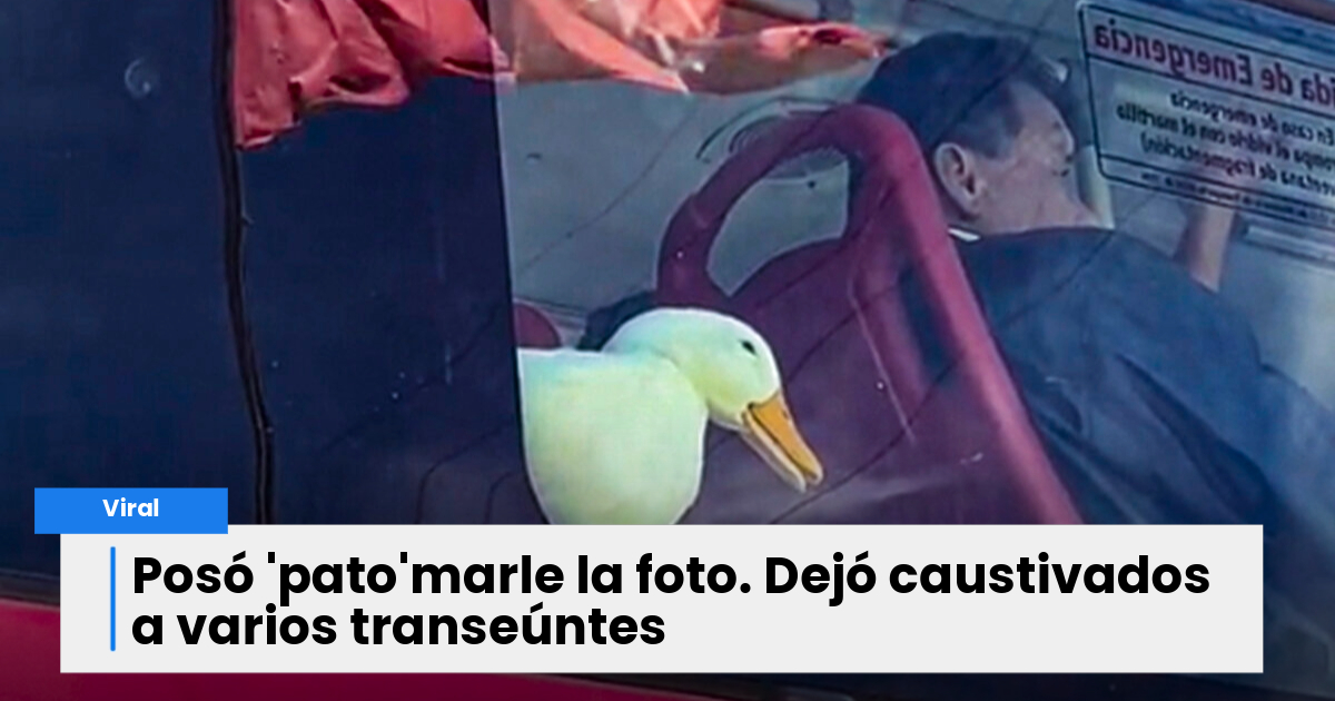 Pillan a tierno patito viajando en transmilenio paralizó el tráfico de